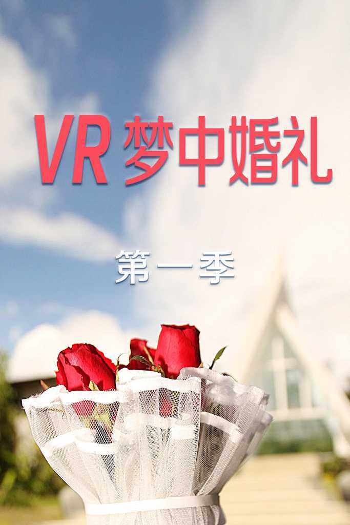 VR梦中婚礼 第一季第04期